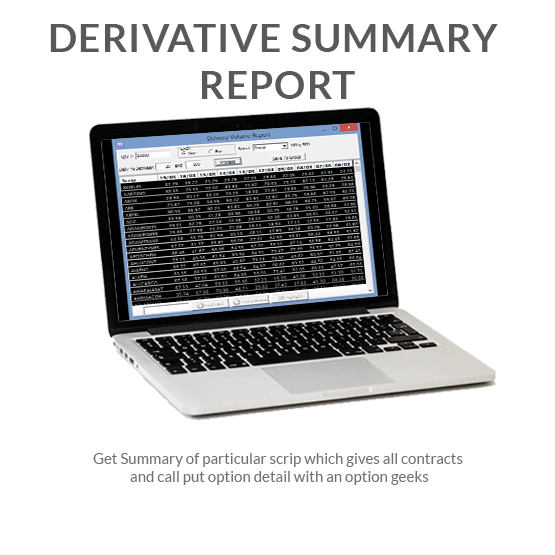 Derivative Summary Report